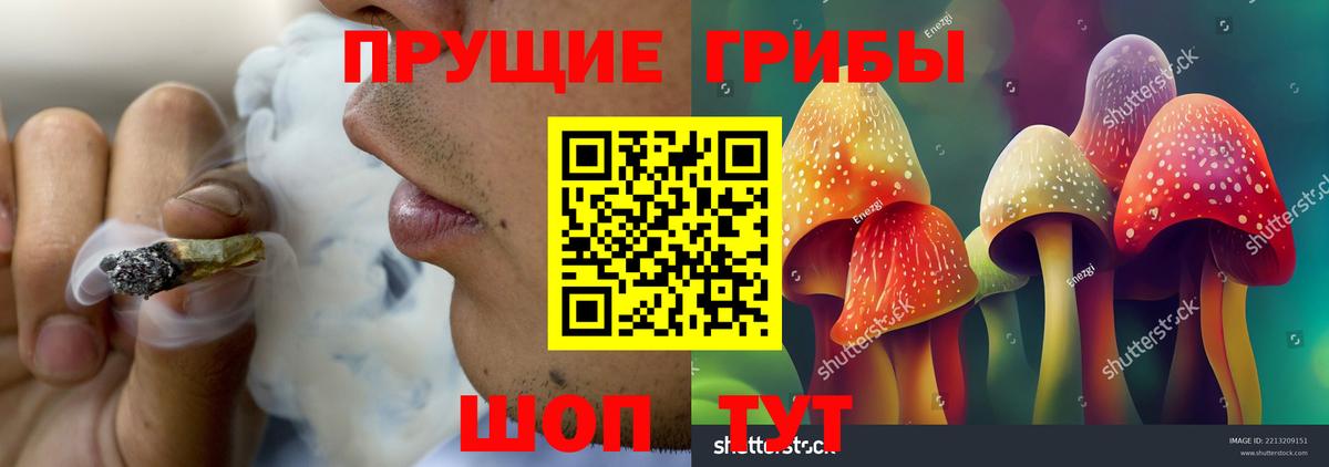 Псилоцибиновые грибы Cubensis  Вход с VPN  где можно купить наркотик  Мценск 